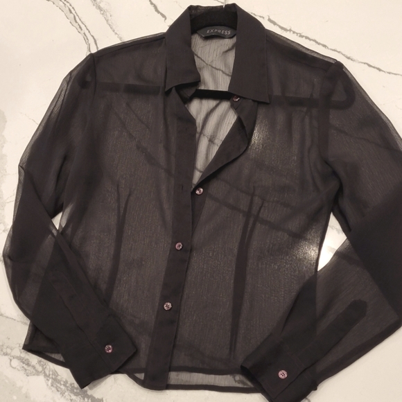 Express Tops - Express Sheer Purple Button Front Blouse 5/6